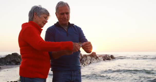 Pareja Mayor Sosteniendo Concha Playa Atardecer — Vídeos de Stock