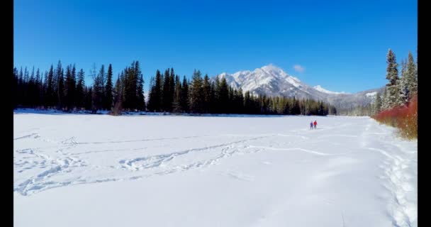 を冬の間に雪の風景の上を歩いてスキーヤー カップル — ストック動画