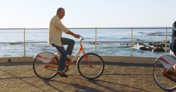 Coppia Senior Bicicletta Sul Lungomare Una Giornata Sole — Video Stock