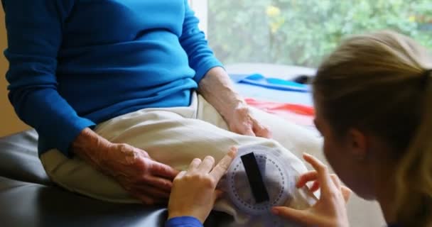 Fisioterapeuta Examinando Rodilla Mujer Mayor Con Goniómetro Clínica — Vídeos de Stock