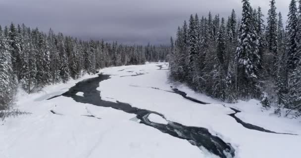 Antenn Ström Som Flyter Genom Snöiga Skogen Vintern — Stockvideo