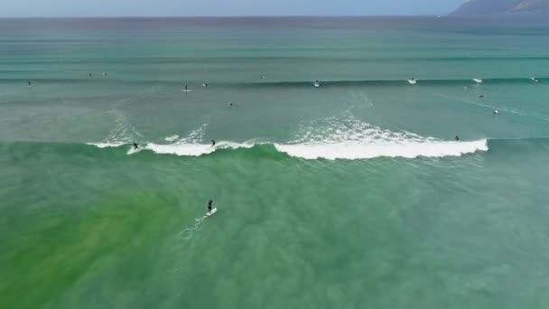 観光客の の海でのサーフィンの高角度のビュー — ストック動画