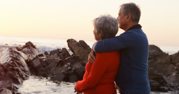 Zijaanzicht Van Senior Paar Omarmen Strand — Stockvideo