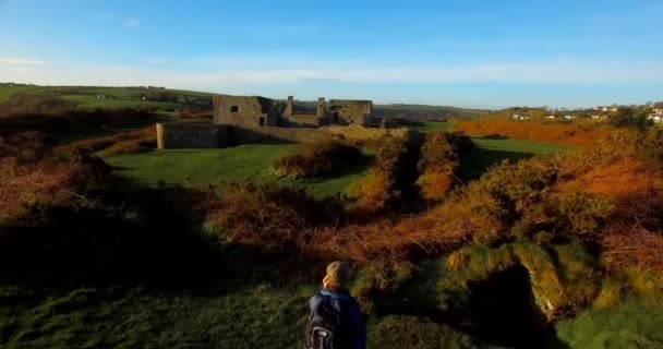 Вид Сзади Мужчин Совершающих Пешие Прогулки Сельской Местности — стоковое видео