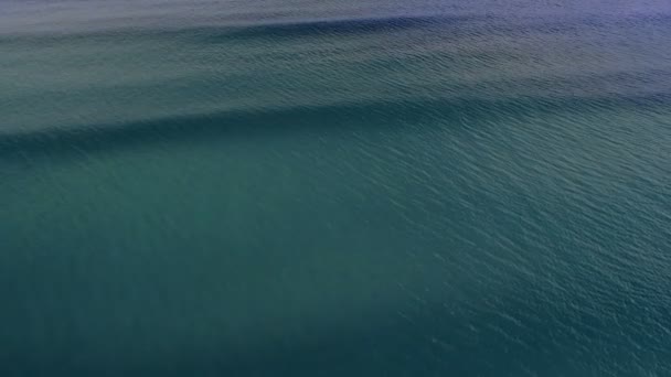 日没の の間に海でサーフィン観光客の空中 — ストック動画