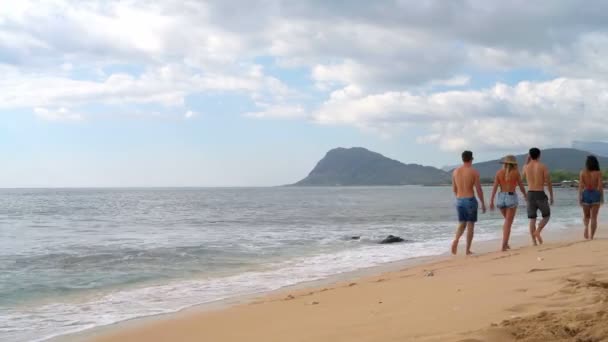 Achteraanzicht Van Paren Wandelen Het Strand — Stockvideo