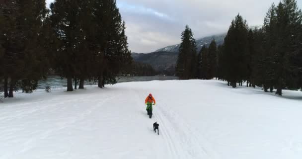 Man Met Hond Fietsen Besneeuwde Bos Winter — Stockvideo