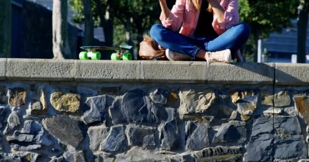 公園でジュースを飲みながら携帯電話を使用しての女性 — ストック動画
