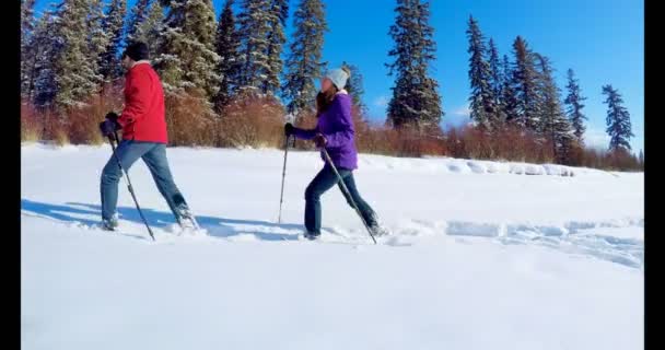 Σκιέρ Ζευγάρι Περπάτημα Στο Χιονισμένο Τοπίο Χειμώνα — Αρχείο Βίντεο