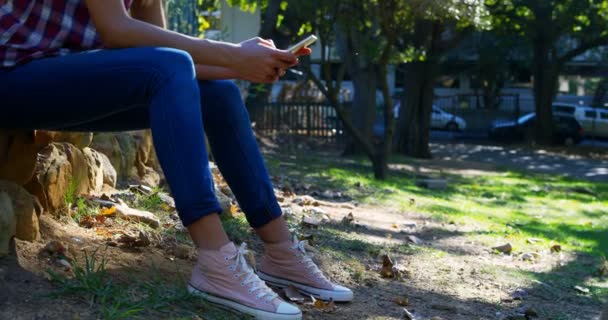 Låga Delen Kvinna Med Mobiltelefon Parken — Stockvideo