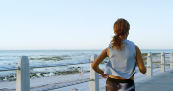 Вид Сзади Женщины Бег Трусцой Вблизи Пляжа — стоковое видео