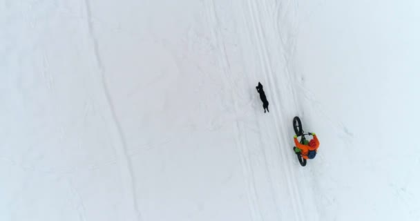 Luchtfoto Van Man Met Hond Fietsen Besneeuwde Gebied — Stockvideo