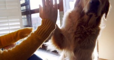 Güzel kadın vermek çak bir beşlik ve onu köpek ev 4 k öpüşme