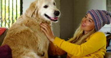 Kadın köpeğini Divan ev 4 k ile