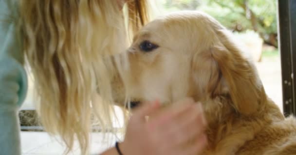 Primer Plano Mujer Besando Perro Casa — Vídeos de Stock