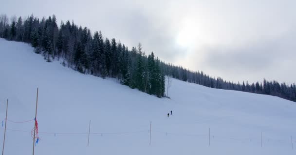Lyžaři Zimě Lyžování Alpských Horských — Stock video