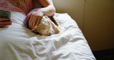 Yatağa ev 4 k adlı köpeğiyle telefon kullanan kadın