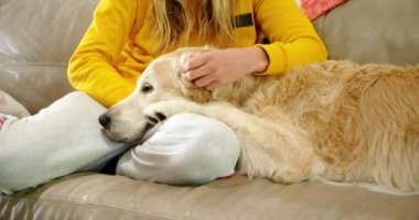 Kadın köpeğini kanepede ev 4 k okşayarak Close-up