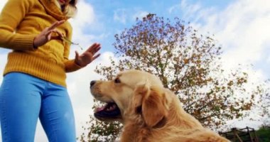 Onu köpek çiftliği 4 k ile oynayan kadın düşük açılı