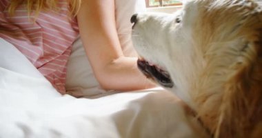 Güzel kadının köpeğini yatakta 4 k ile oturan yakın çekim