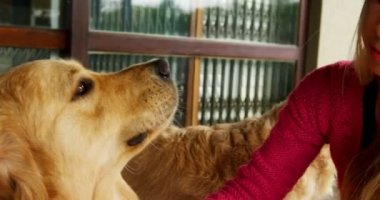 Güzel kadın köpeğini bir havlu ile ev 4 k silme