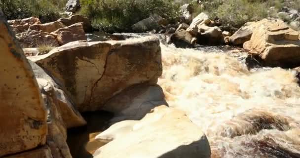 Mujer Con Kayak Remo Pie Cerca Del Río Día Soleado — Vídeo de stock