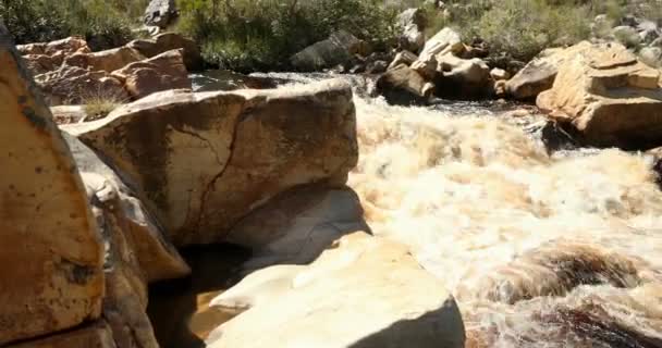 Mulher Com Caiaque Remo Perto Rio Dia Ensolarado — Vídeo de Stock