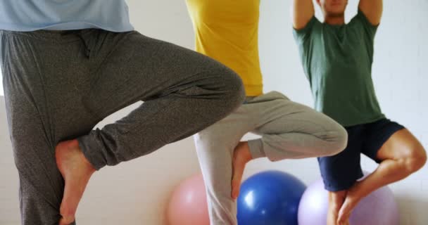 Groep Mensen Doen Yoga Bij Fitnessstudio — Stockvideo