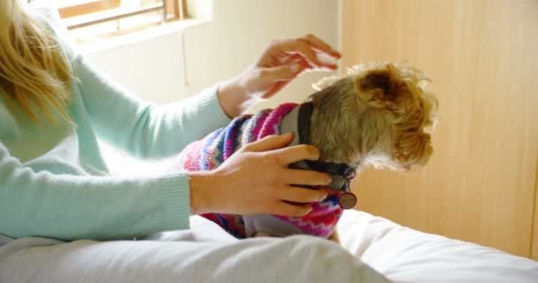 Mujer Sentada Con Perro Cama Casa — Vídeos de Stock