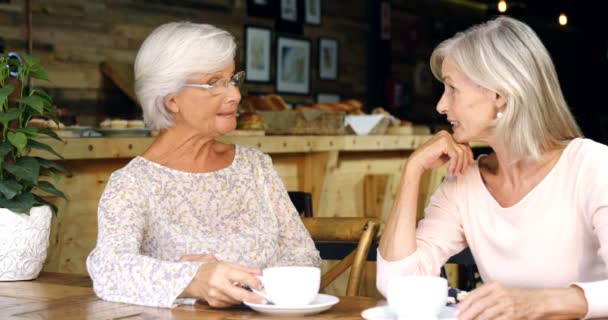 Δύο Ανώτεροι Γυναίκες Που Μιλούσαν Μεταξύ Τους Στο Café — Αρχείο Βίντεο