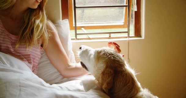 美丽的女人坐在她的狗在床上4K — 图库视频影像