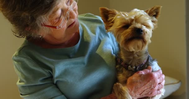 ホームの で犬を保持している年配の女性 — ストック動画