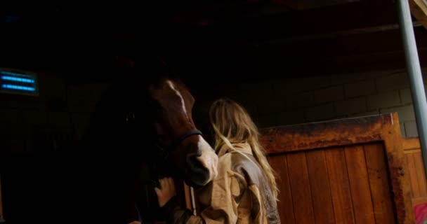 安定した で馬と美しい女性 — ストック動画