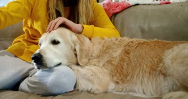 Selfie köpeği ile kanepede ev 4 k alarak kadın