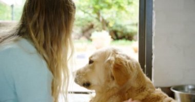 Kadın köpeğini ev 4 k okşayarak Close-up