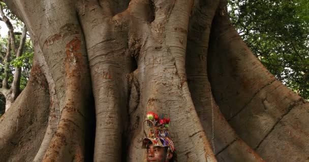 Φυλετική Άνθρωπος Χαλαρώνοντας Κάτω Από Ένα Δέντρο Μια Ηλιόλουστη Ημέρα — Αρχείο Βίντεο