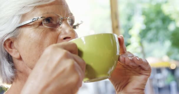 Γκρο Πλαν Των Ανώτερων Γυναίκα Πίνοντας Καφέ Στο Καφέ Του — Αρχείο Βίντεο