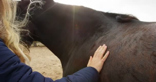の牧場で馬をなでる美しい若い女性 — ストック動画