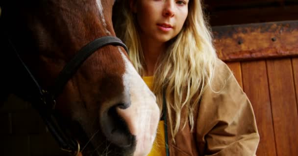 Mooie Vrouw Met Paard Stabiele — Stockvideo