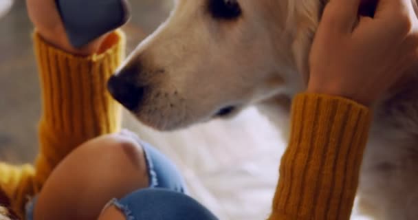 Nahaufnahme Einer Frau Die Ihren Hund Hause Streichelt — Stockvideo