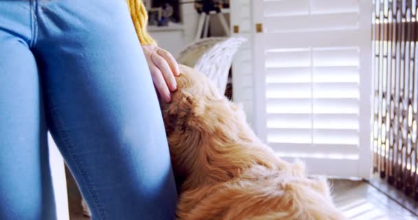 Hermosa Mujer Acariciando Perro Casa — Vídeo de stock