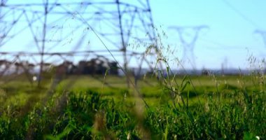 Karayoluyla tarım arazileri üzerinde yüksek gerilim elektrik direkleri
