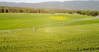 Kırsal alan yeşil bitkileri sulama sisteminin havadan görünümü