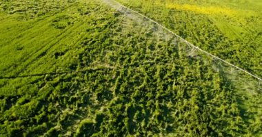 Tarım arazisi içinde yeşil bitkileri sulama sisteminin havadan görünümü