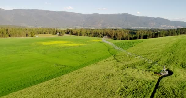 Αεροφωτογραφία Του Συστήματος Άρδευσης Του Πεδίο Καταπράσινη Καλλιέργειες Στην Ύπαιθρο — Αρχείο Βίντεο