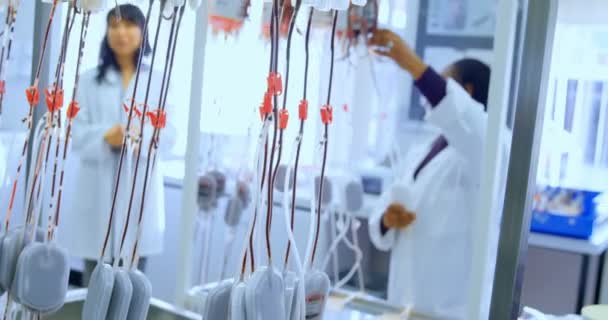 Técnicos Laboratório Analisando Sacos Sangue Banco Sangue — Vídeo de Stock