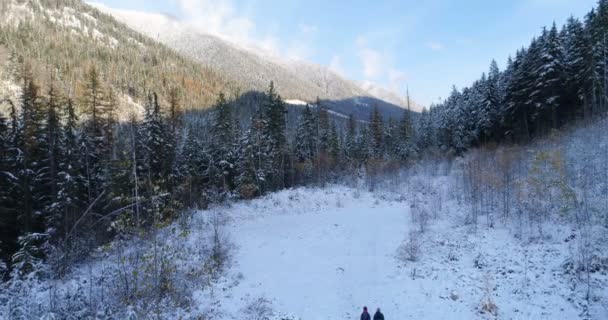 Ariel Touristes Marchant Travers Forêt Pins Les Montagnes Pendant Hiver — Video