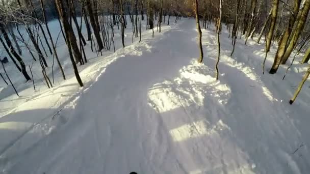 Man Skidåkning Snöiga Område Solig Dag — Stockvideo