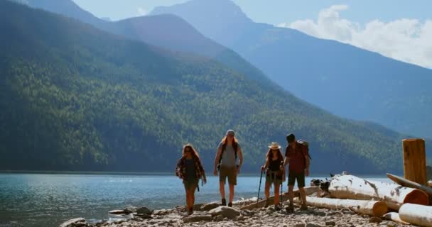 Groupe Amis Randonnée Près Rivière Par Une Journée Ensoleillée — Video