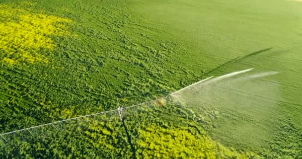 Flygfoto Över Vatten Bevattningssystem Gröna Odlingsmark Landsbygden — Stockvideo